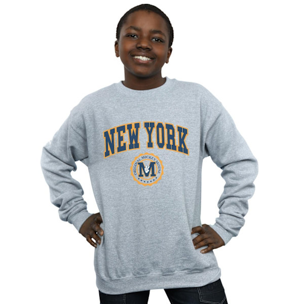 Disney Boys Mickey Mouse New York Seal Sweatshirt 3-4 år Spo Sports Grey 3-4 Years