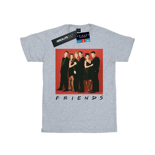 Friends Dam/Damer Gruppfoto Formell Bomull Boyfriend T-shirt Sports Grey XL