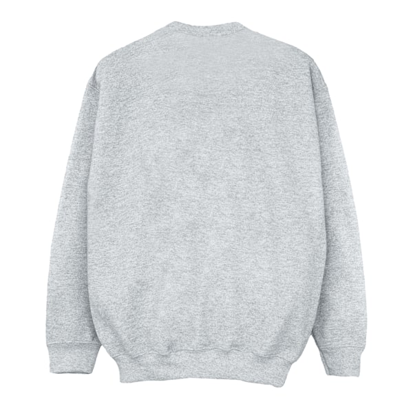Cars Boys Racer Profile Bomullströja 5-6 År Sports Grey Sports Grey 5-6 Years
