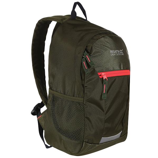 Regatta Jaxon III Ryggsäck (10 liter) One Size Cypress Green/D Cypress Green/Diva Pink One Size