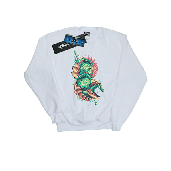 DC Comics Boys Aquaman Xebel Crest Sweatshirt 5-6 år Vit White 5-6 Years