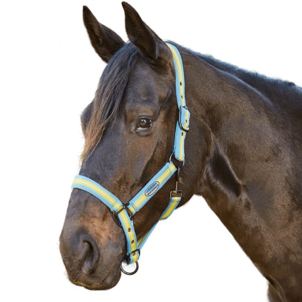 Weatherbeeta Coordinate Horse Headcollar Full Light Blue/Gold/S Light Blue/Gold/Sand Full