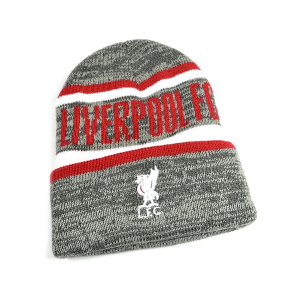 Liverpool FC Whitaker, Whitaker Mössa One Size Grå/Röd/Vit Grey/Red/White One Size