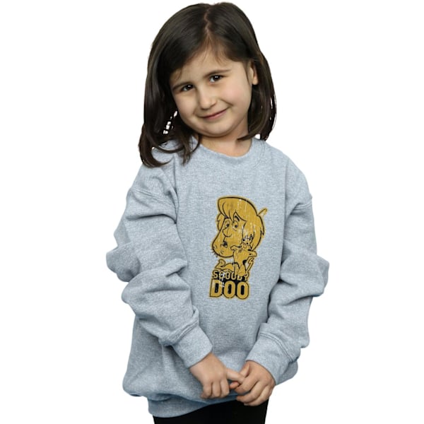 Scooby Doo Flickor Och Shaggy Sweatshirt 7-8 År Sports Grey Sports Grey 7-8 Years