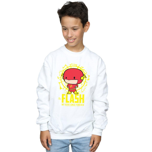 DC Comics Boys Flash My Hero Since Forever Sweatshirt 7-8 år White 7-8 Years