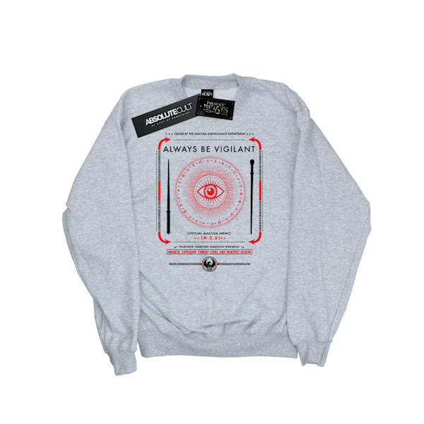 Fantastiska vidunder Mäns Alltid vara vaksam Sweatshirt XL Sports G Sports Grey XL