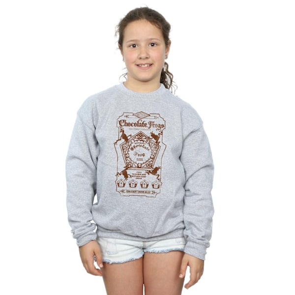 Harry Potter Girls Chocolate Frogs Mono Label Sweatshirt 9-11 år Sports Grey 9-11 Years