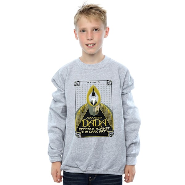 Fantastiska vidunder Boys Advanced DADA Sweatshirt 12-13 år Spor Sports Grey 12-13 Years