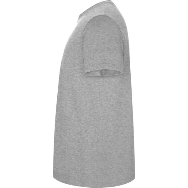 Roly Barn/Barn Stafford Kortärmad T-shirt 7-8 År Gråmelerad Grey Marl 7-8 Years