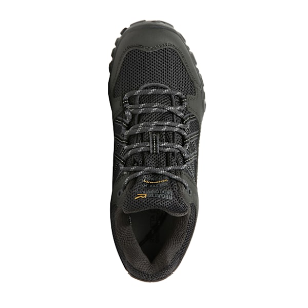 Regatta Womens/Ladies Edgepoint III Walking Shoes 4 UK Ash Gran Ash Granite 4 UK