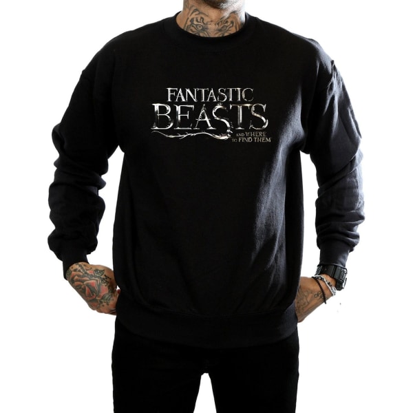 Fantastic Beasts Herr Text Logo Sweatshirt XXL Svart Black XXL