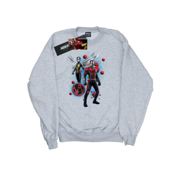 Marvel Boys Ant-Man And The Wasp Particle Pose Sweatshirt 12-13 Sports Grey 12-13 Years