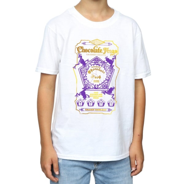 Harry Potter Boys Chocolate Frogs Färgad Etikett T-shirt 9-11 år White 9-11 Years