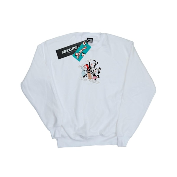 Animaniacs Boys Ta Da Sweatshirt 3-4 år Vit White 3-4 Years