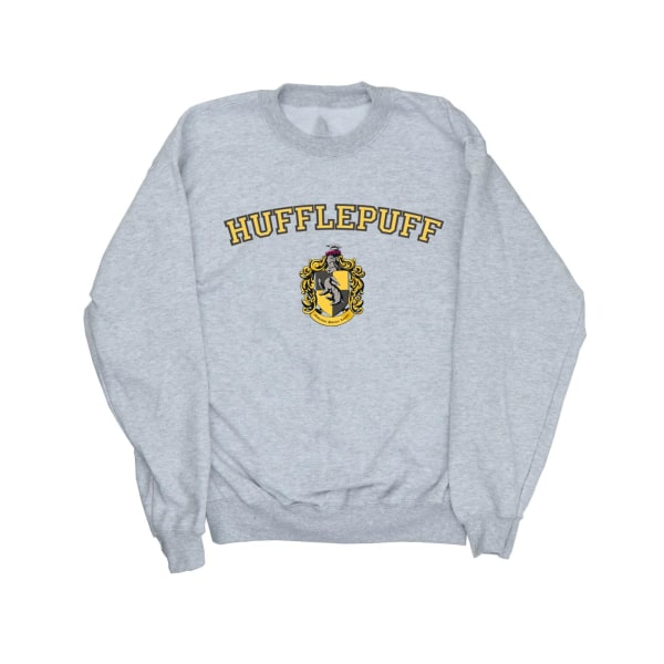 Harry Potter Boys Hufflepuff Crest Sweatshirt 5-6 år Sport Sports Grey 5-6 Years