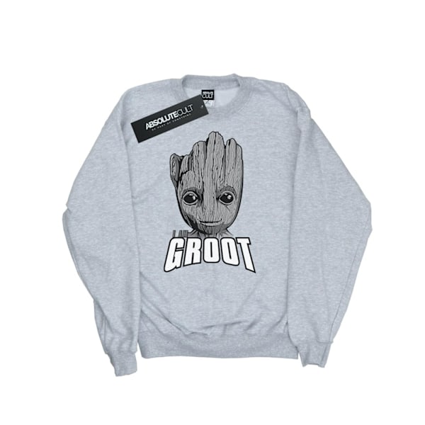 Marvel Dam/Kvinnor Guardians Of The Galaxy Groot Ansikte Sweatshirt Heather Grey XL