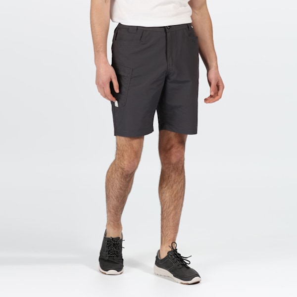 Regatta Delgado Shorts 33R Seal Grey för män Seal Grey 33R