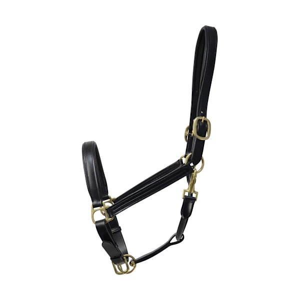 Coldstream Läderfodrad Huvudlag Cob Svart Black Cob