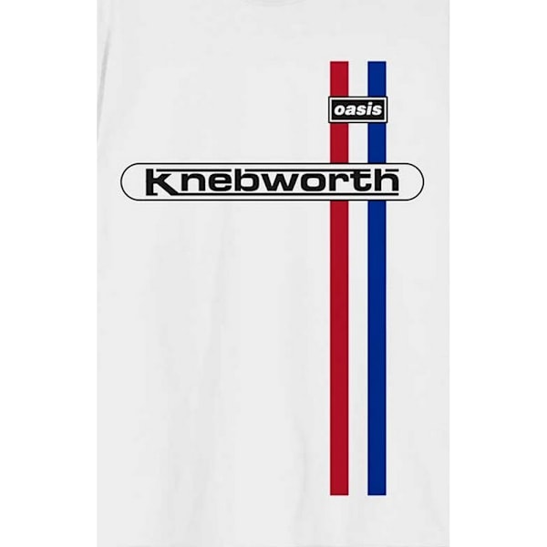 Oasis Unisex Adult Knebworth Vertikalrandig T-shirt L Vit White L