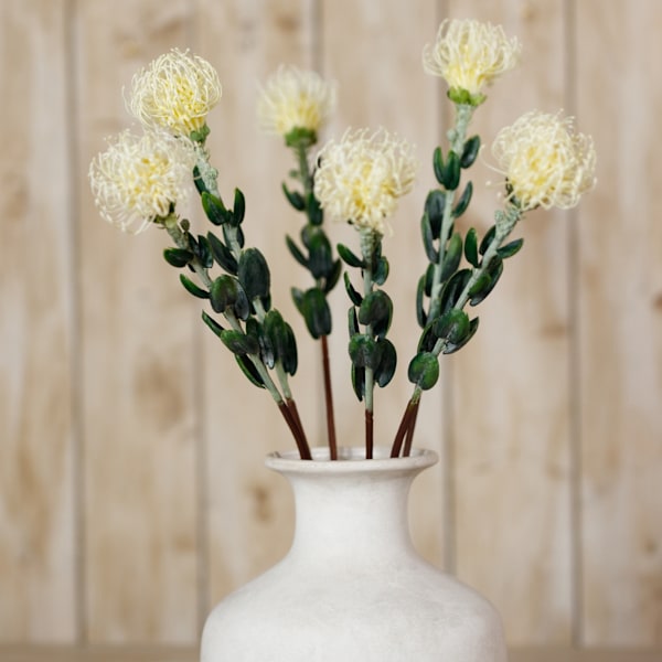 Hill Interiors Nålskydd Protea Spray Konstgjord Blomma One Si Cream One Size