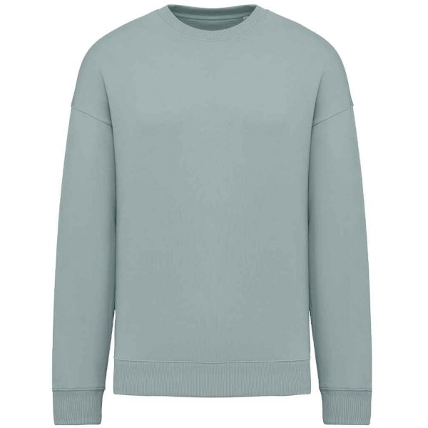 Native Spirit Dam/Dam Oversized Sweatshirt XS Jade Grön Jade Green XS