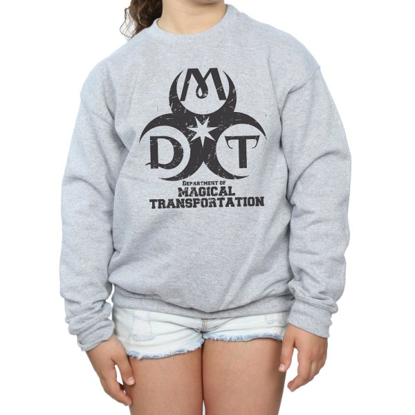 Harry Potter Girls Department Of Magical Transportation Logo Sw Sports Grey 9-11 Years