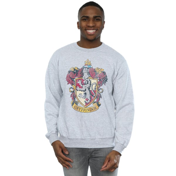 Harry Potter Herr Gryffindor Sweatshirt M Sports Grey Sports Grey M