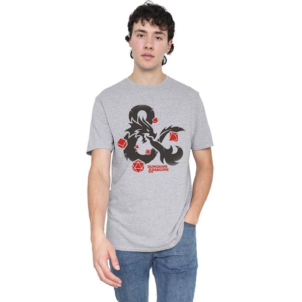 Dungeons & Dragons Herrarnas Ampersand Tärning T-shirt XXL Sport Heather Sport Heather XXL