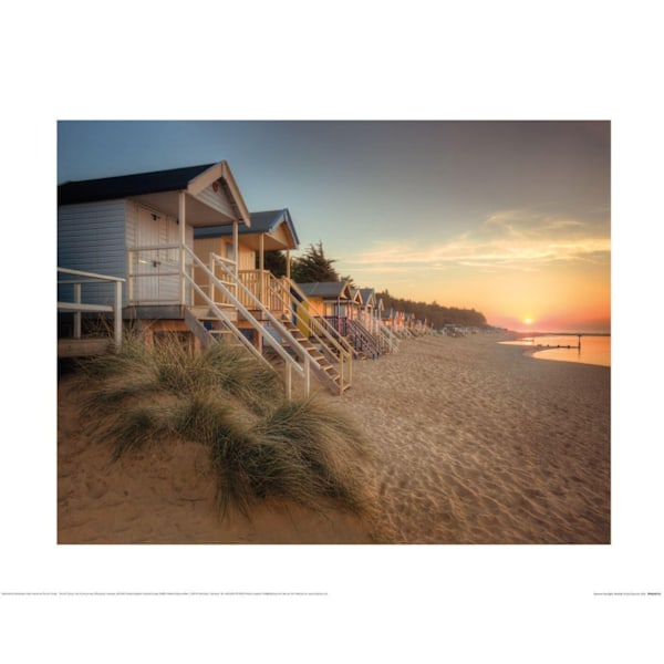 Rod Edwards Summer Sunlight, Norfolk Tryck 50cm x 40cm Flerfärgad Multicoloured 50cm x 40cm