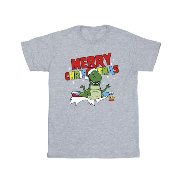 Disney Mens Toy Story Rex Christmas Burst T-Shirt XL Sports Grå Sports Grey XL