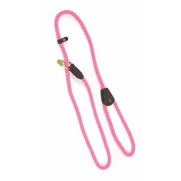Digby & Fox Koppel i Repläder för Hundar, En Storlek, Rosa Pink One Size