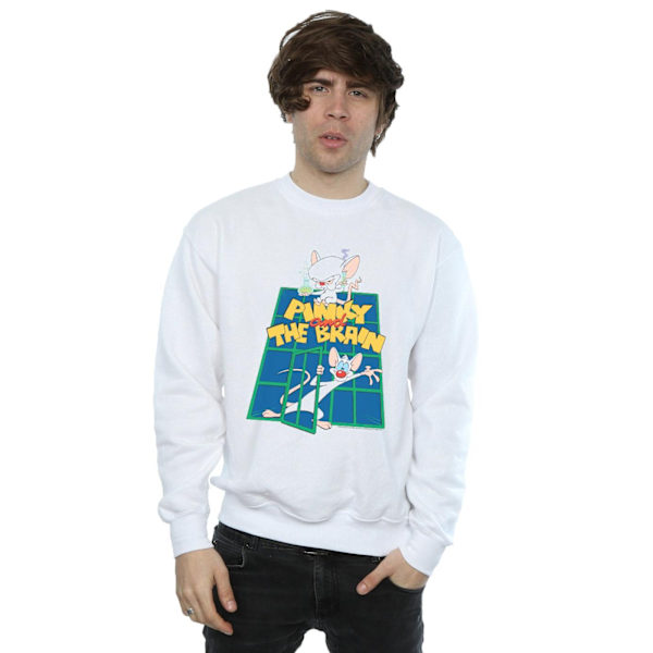 Animaniacs Herr Pinky And The Brain Laboratory Sweatshirt L Vit White L