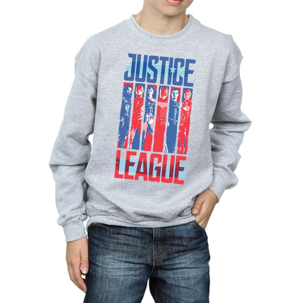 DC Comics Boys Justice League Movie Team Flag Sweatshirt 5-6 år Sports Grey 5-6 Years