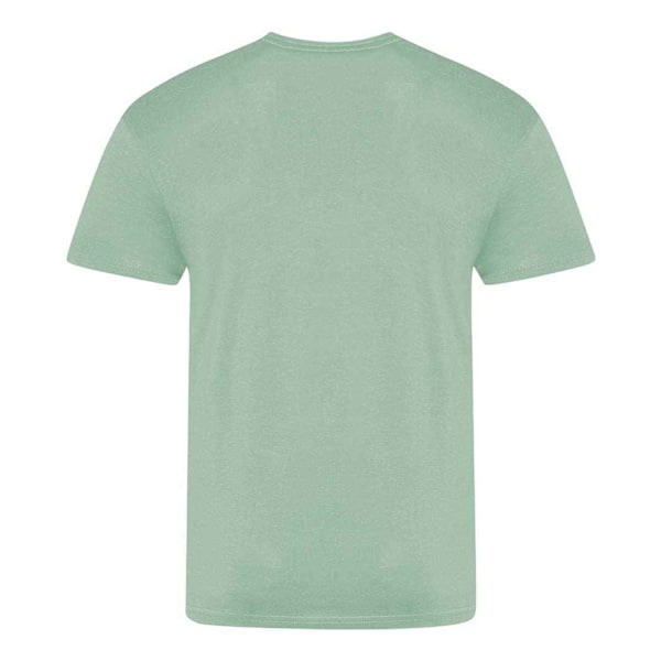 Awdis Unisex Vuxen The 100 T-shirt M Dammgrönt Dusty Green M