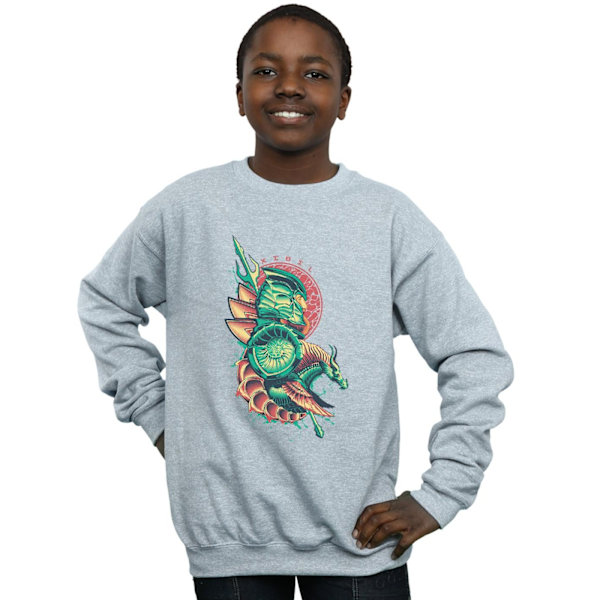 DC Comics Boys Aquaman Xebel Crest Sweatshirt 5-6 år Sport Sports Grey 5-6 Years