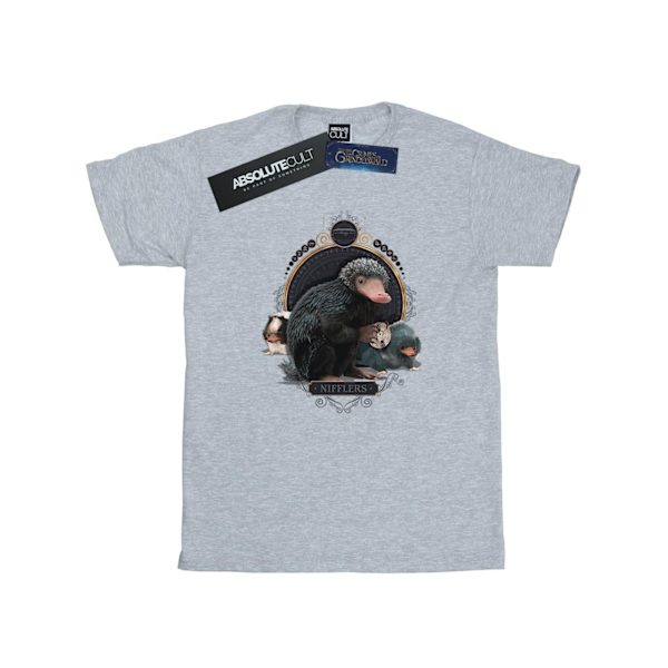 Fantastiska vidunder Boys Baby Nifflers T-shirt 5-6 år Sports Grå Sports Grey 5-6 Years