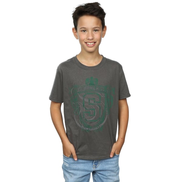 Harry Potter Boys Slytherin Serpent Crest T-Shirt 12-13 år C Charcoal 12-13 Years