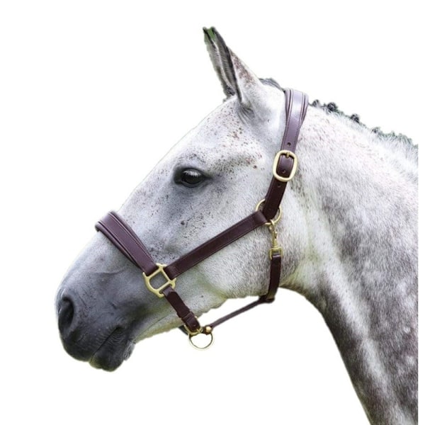 Blenheim Läder Resa Hästgrimma Ponny Havanna Havana Pony
