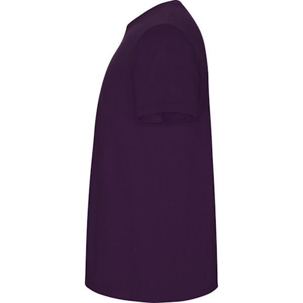 Roly Barn/Barn Stafford Kortärmad T-shirt 7-8 År Lila Purple 7-8 Years