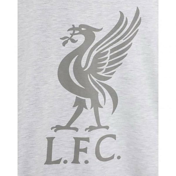 Liverpool FC Dam/Dam Liver Bird T-shirt 12 UK Ice Grey Ma Ice Grey Marl 12 UK