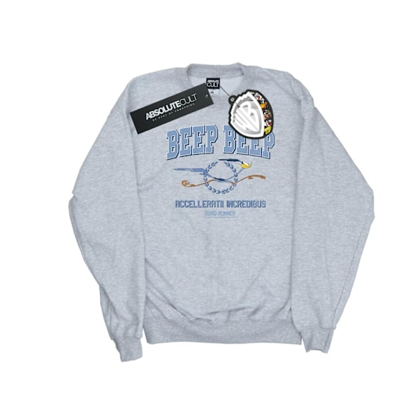 Looney Tunes Herr Road Runner Beep Beep Sweatshirt S Sports Grå Sports Grey S