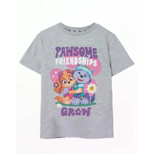 Paw Patrol Girls Pawsome Friendships Marl T-Shirt 3-4 år Grå Grey 3-4 Years