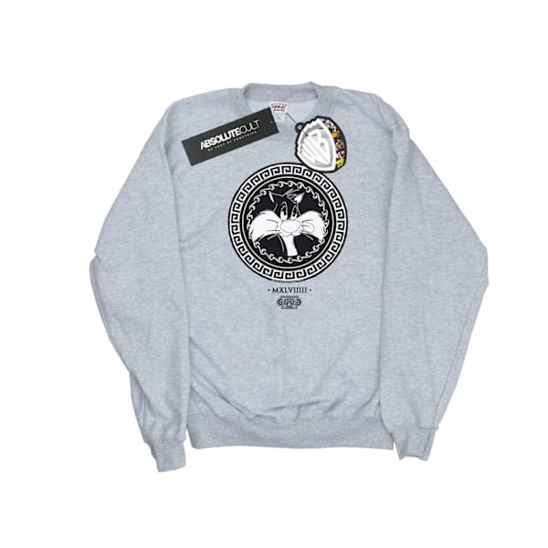 Looney Tunes Boys Sylvester Grekisk Cirkel Sweatshirt 9-11 År Sports Grey 9-11 Years