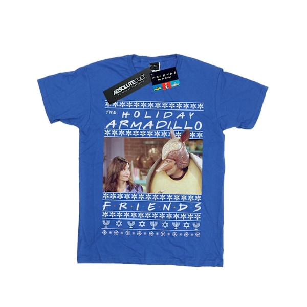 Friends Boys Fair Isle Holiday Armadillo T-Shirt 7-8 år Roya Royal Blue 7-8 Years