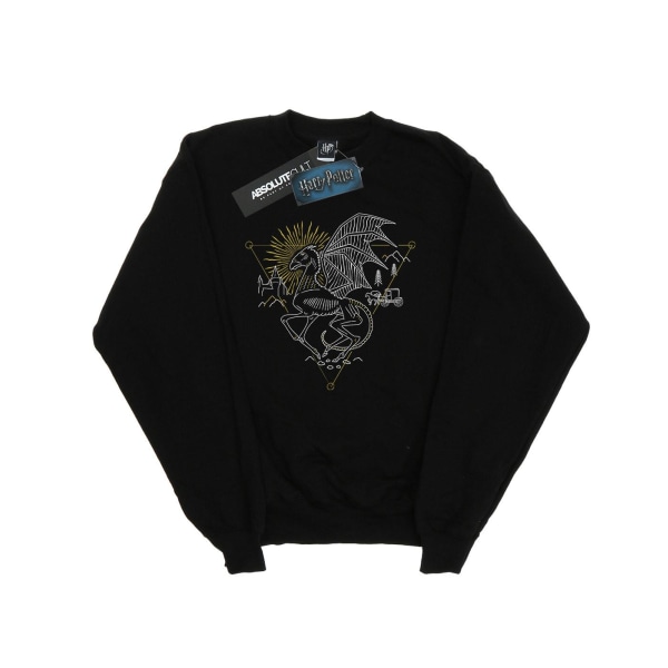 Harry Potter Mens Thestral Line Art Sweatshirt XL Svart Black XL