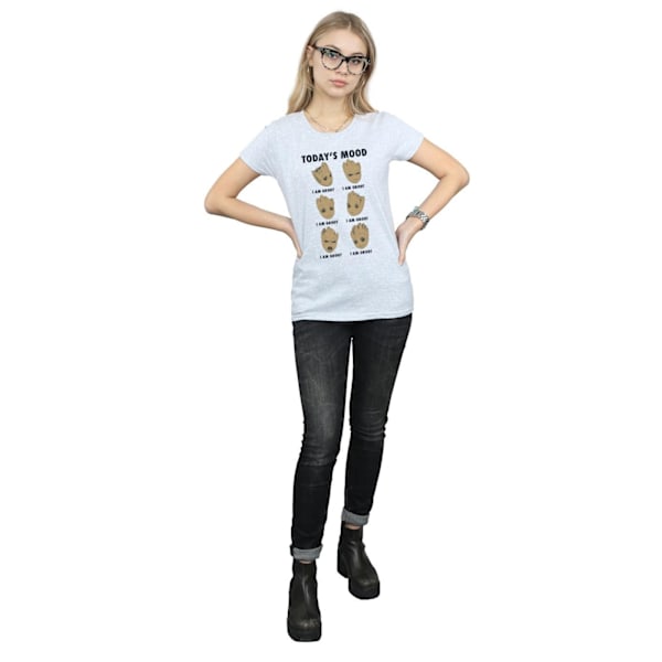 Guardians Of The Galaxy Dam/Damer Idag Humör Baby Groot T Sports Grey XXL