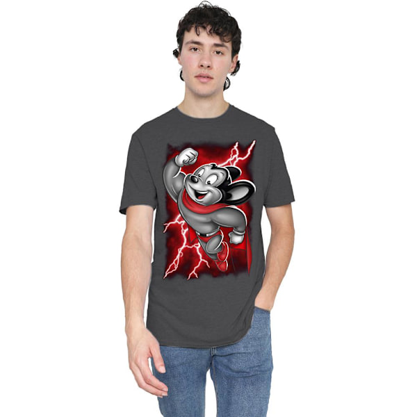 Mighty Mouse Unisex Vuxen Mighty Storm T-Shirt S Kolgrå Charcoal S