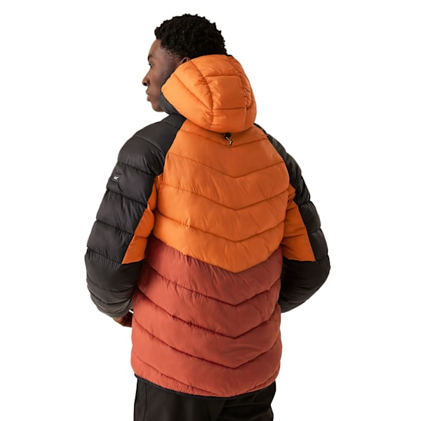 Regatta Dalent Vadderad Jacka med Huva för Män 3XL Fox/Red Ochre Fox/Red Ochre 3XL