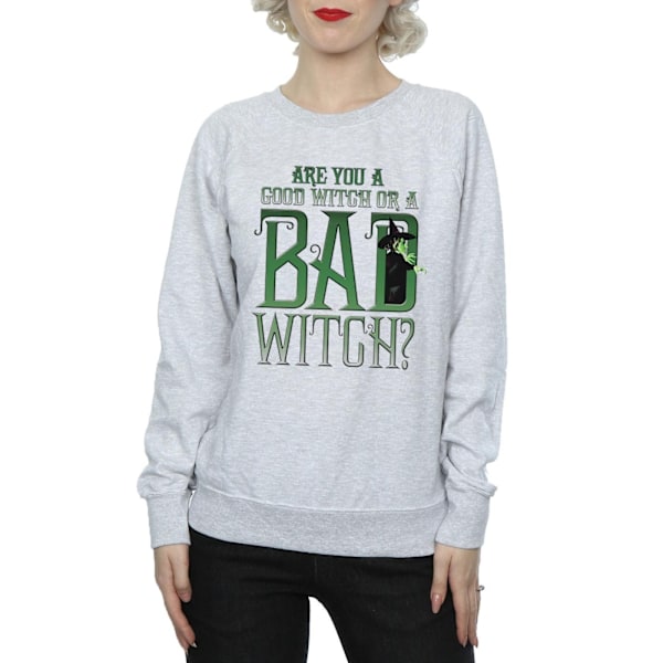 Trollkarlen från Oz Dam/Dam God Häxa Ond Häxa Sweatshirt Heather Grey M