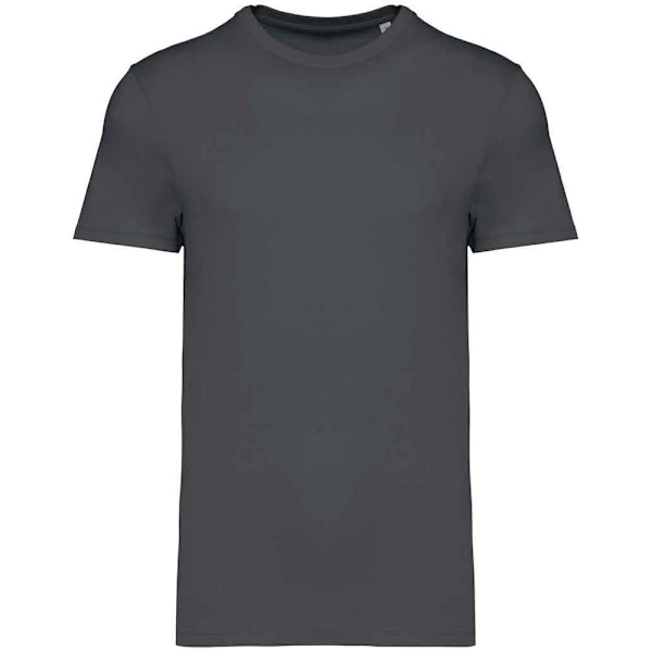 Native Spirit Unisex Vuxen Heavyweight Slim T-Shirt S Iron Grey Iron Grey S